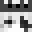 _v01d's skin