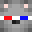blaustoise's skin