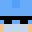 blazicat's skin