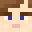 block_facts's skin