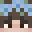 cahriid's skin