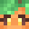 carlypumpkin's skin