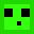 cjtslime's skin