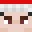 conorsanimettv's skin