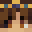 den15_'s skin