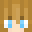 disatron's skin