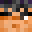 dishal's skin