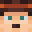 dwittyy's skin