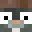 faister's skin