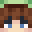 faketurt1e's skin