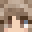 fennniq's skin