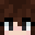 flasheturtle's skin