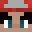 fndp's skin