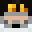 fundy's skin