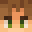 kyleeff's skin