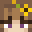 nokiwis's skin