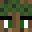 oak_c8's skin