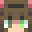 rinraccoon's skin
