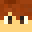 ryguyrocky's skin