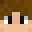 saltysurvivalist's skin