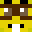 sat1re's skin