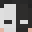 silverlt's skin