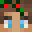 snowbur's skin
