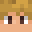 solidaritygaming's skin