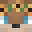 speedydeni's skin