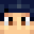 stemister's skin