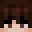 temprie's skin